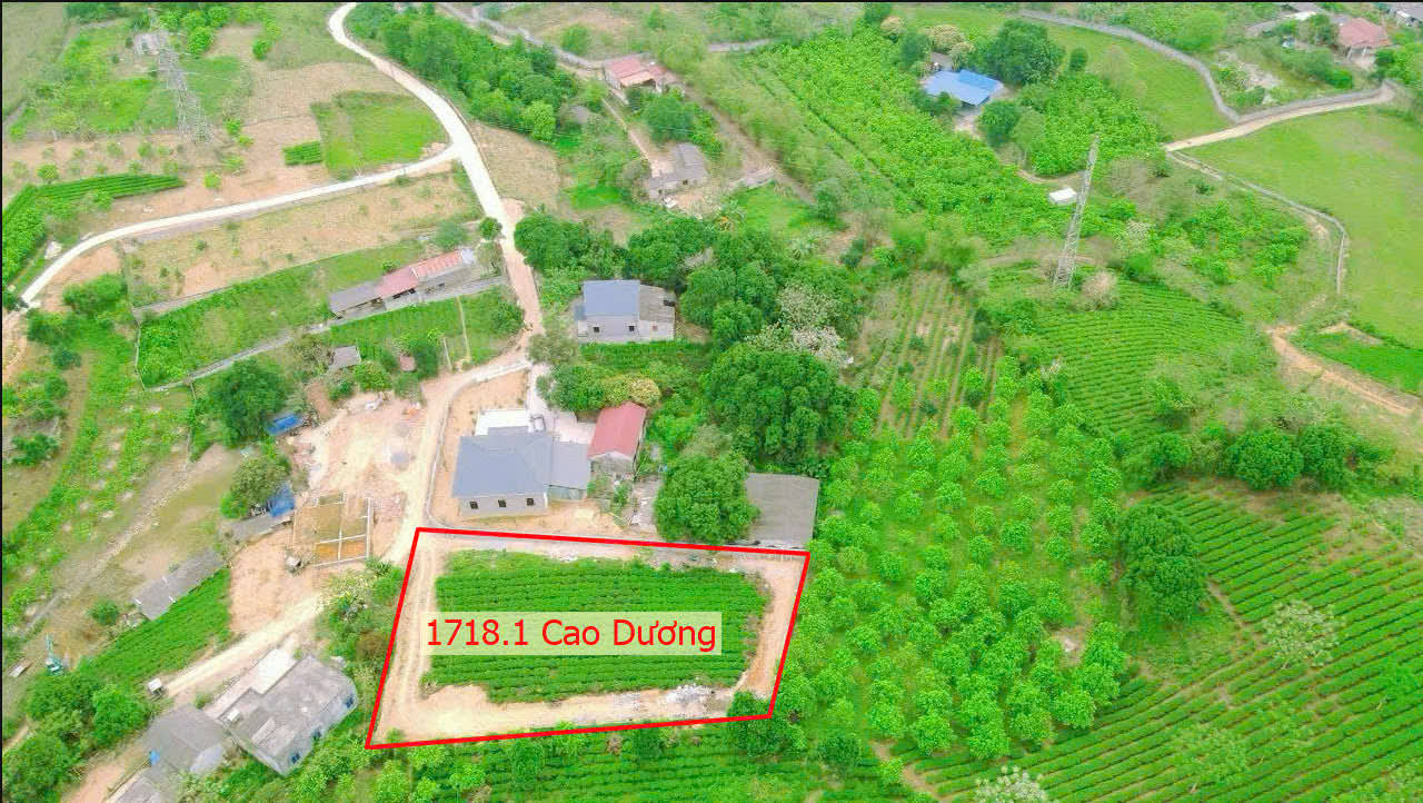 Hình ảnh Bán Đất Cao Dương Ô Tô Vào Tận Đất Gần Trục Kinh Doanh Gần QL21A