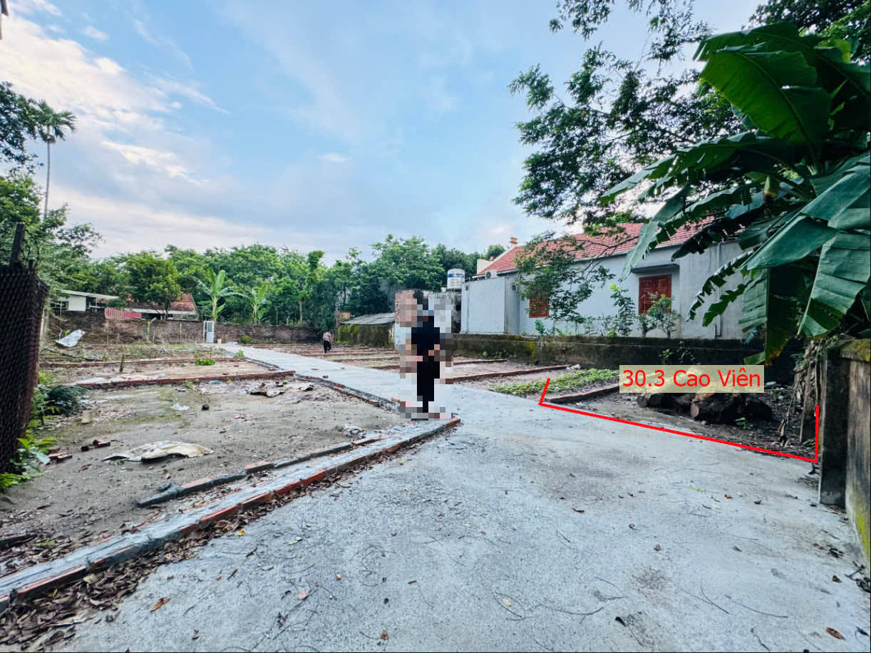 Hình ảnh Bán Đất Phân Lô Cao Viên Ô Tô Vào Tận Đất Gần Trục Kinh Doanh Giá Nhỉnh Tỷ