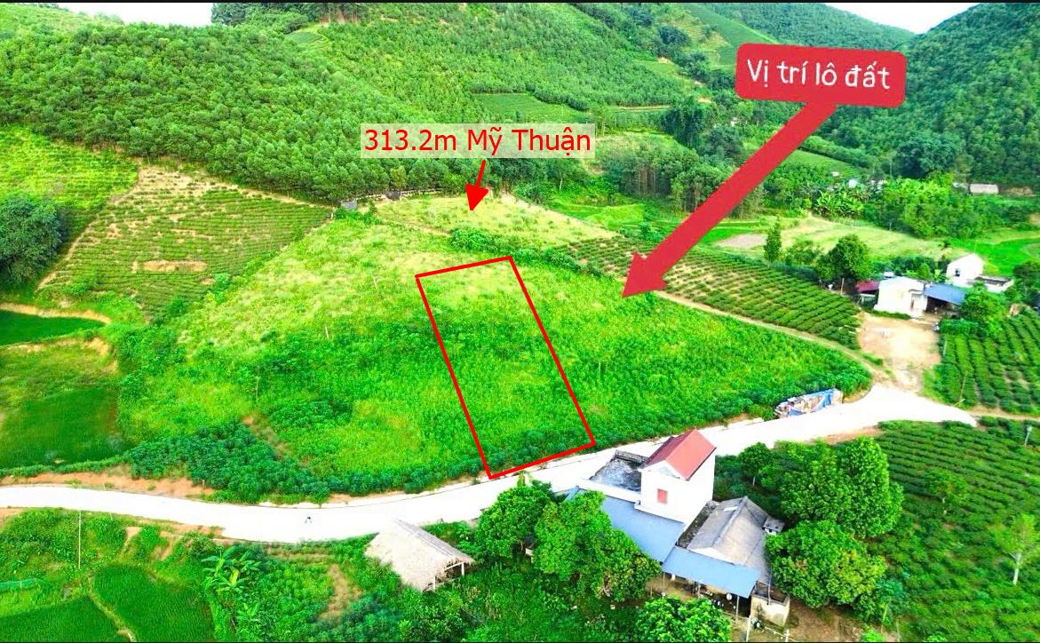Hình ảnh Bán Lô Đất 312.9m Tại Mỹ Thuận Tân Sơn Bám Đường Bê Tông Ô Tô Vào Tận Đất View Thoáng Mát Giá Đầu Tư