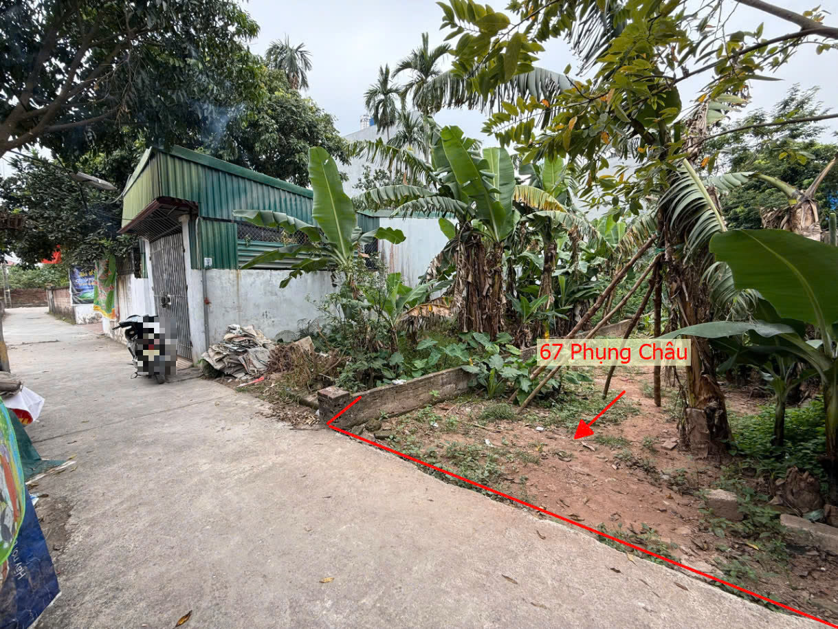 Hình ảnh Bán Đất Phụng Châu Sát Trục Chính Liên Huyện Ngay Trung Tâm Xã Phụng Châu
