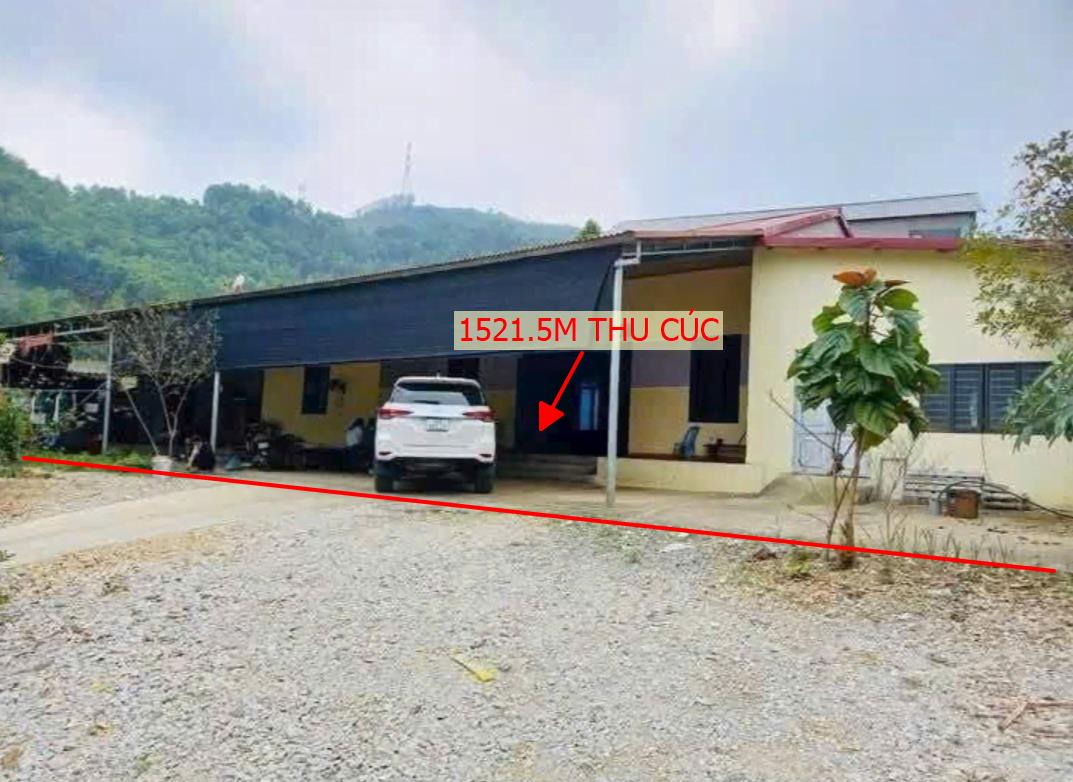 Hình ảnh Bán Lô Đất 1521.5m Tại Thu Cúc Tân Sơn Bám Ql12b Ô Tô Tránh Nhau Dân Cư ĐÔng Đúc Đầy Đủ Tiện Ích Giá Đầu Tư