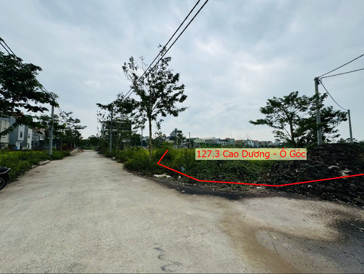Hình ảnh Bán Lô Góc 2 Mặt Tiền Sát Mặt Đường TL429 Ngay Trung Tâm Xã Cao Dương