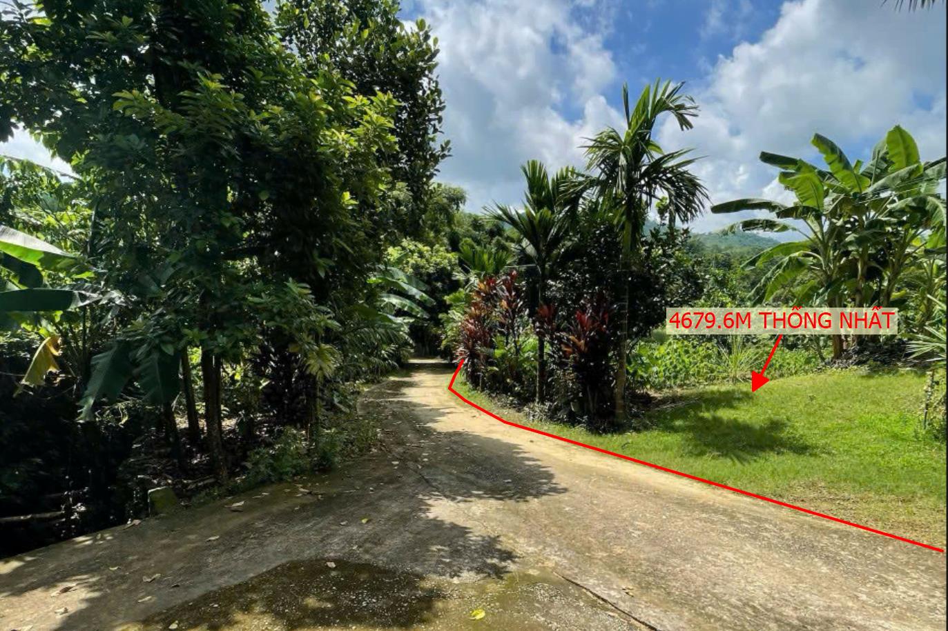 Hình ảnh Bán Lô Đất 4679.6m Tại Thống Nhất TP Hòa Bình Cách QL6 Khoảng 1km Bám Đường Bê Tông Ô Tô Vào Tận Đất Giá Đầu Tư