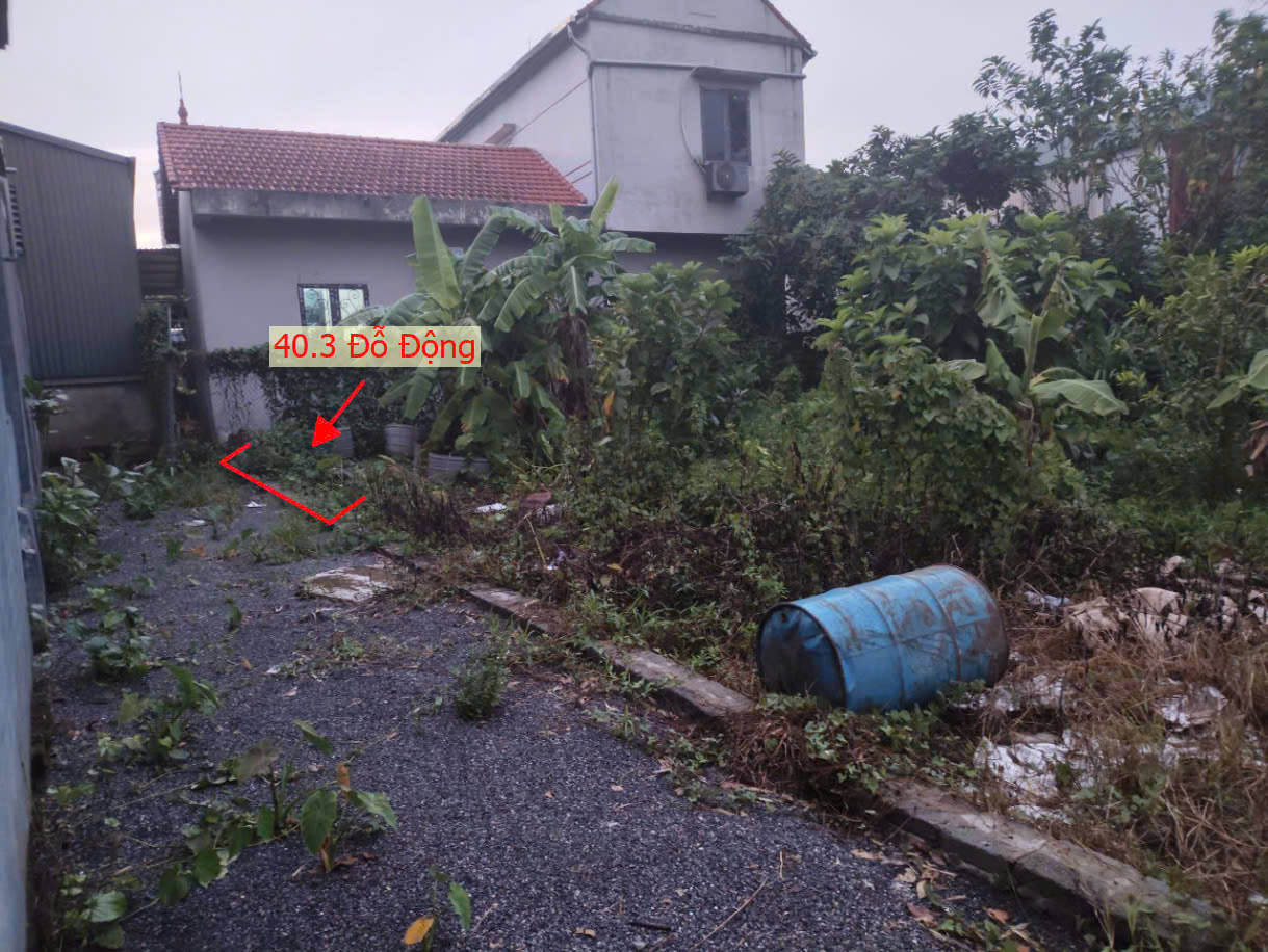 Hình ảnh Đất Phân Lô Đỗ Động Sát Trục Chính Kinh Doanh Liên Xã Giá Nhỉnh Tỷ