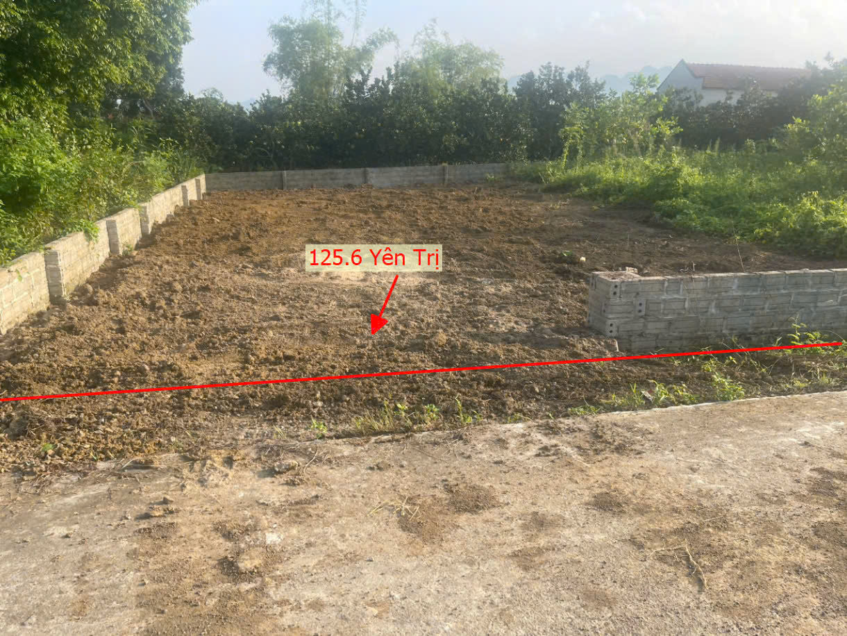 Hình ảnh Bán Đất Yên Trị Ô Tô Đỗ Tận Đất Gần Trục Chính Kinh Doanh Giá Chỉ Vào Trăm Triệu
