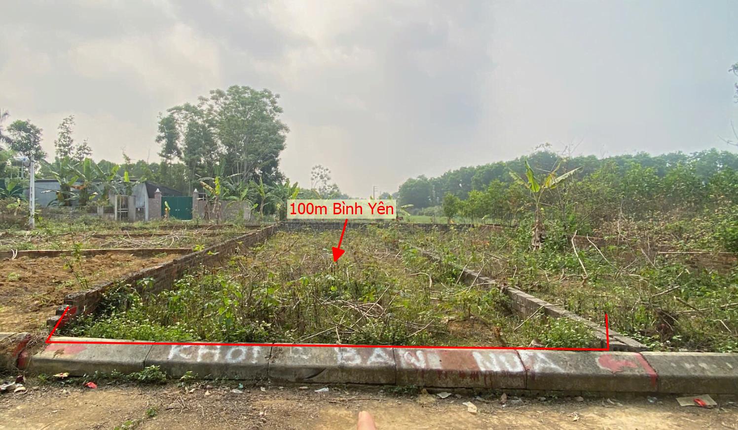 Hình ảnh Bán Lô Đất 100m Tại Bình Yên Thạch Thất Bám Đường Bê Tông Ô Tô Vào Tận Đất Dân Cư Đông Đúc Thân Thiện Gần Chợ Trường Hoc Ủy Ban Giá Đầu Tư