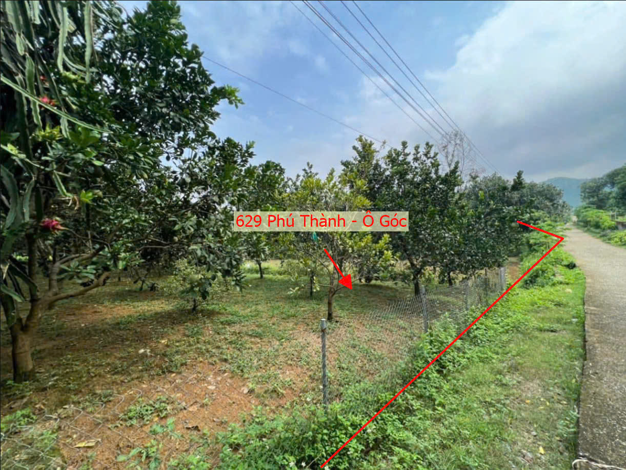 Hình ảnh Bán Lô Góc 2 Mặt Tiền Ô Tô Vào Tận Gần QL21A Ngay Gần Trung Tâm Xã Phú Thành Giá Nhỉnh Tỷ