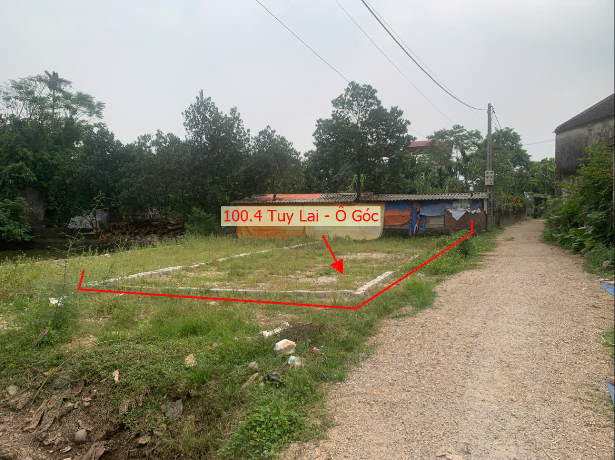 Hình ảnh Bán Lô Góc 2 Mặt Tiền Sát Trục Kinh Doanh Ô Tô Vào Tận Đất Ngay Trung Tâm Xã Tuy Lai Mỹ Đức