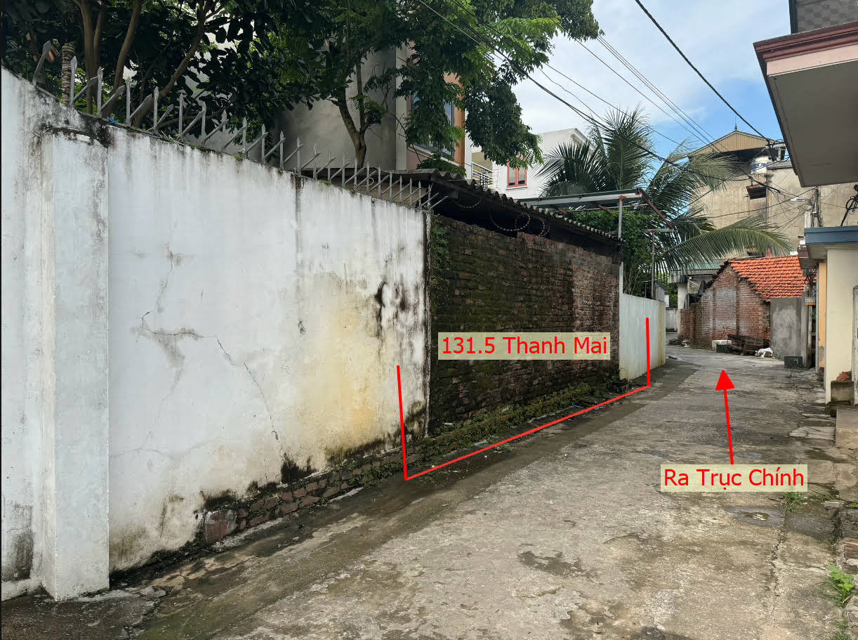 Hình ảnh Bán Đất Full Thổ Cư Ngay Trung Tâm Hành Chính Xã Thanh Mai Thanh Oai