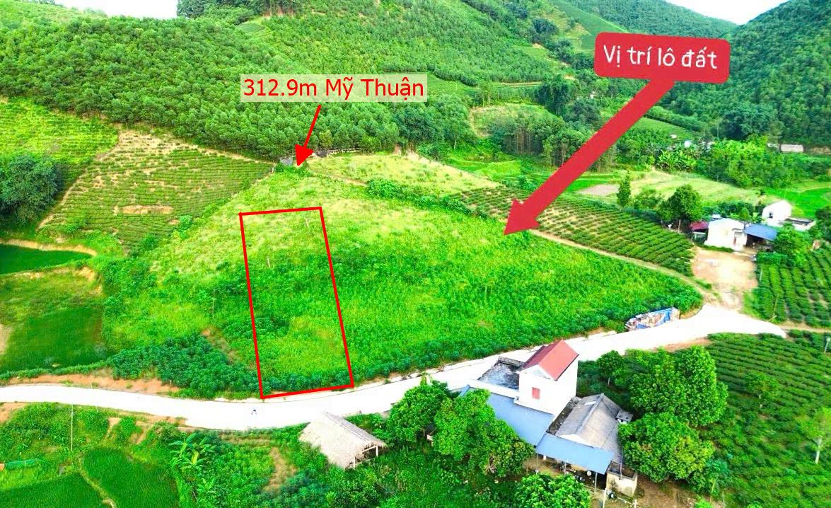Hình ảnh Bán Lô Đất 312.9M Tại Mỹ Thuận Tân Sơn Bám Đường Bê Tông Ô Tô Vào Tận Đất View Thoáng Mát Giá Đầu Tư