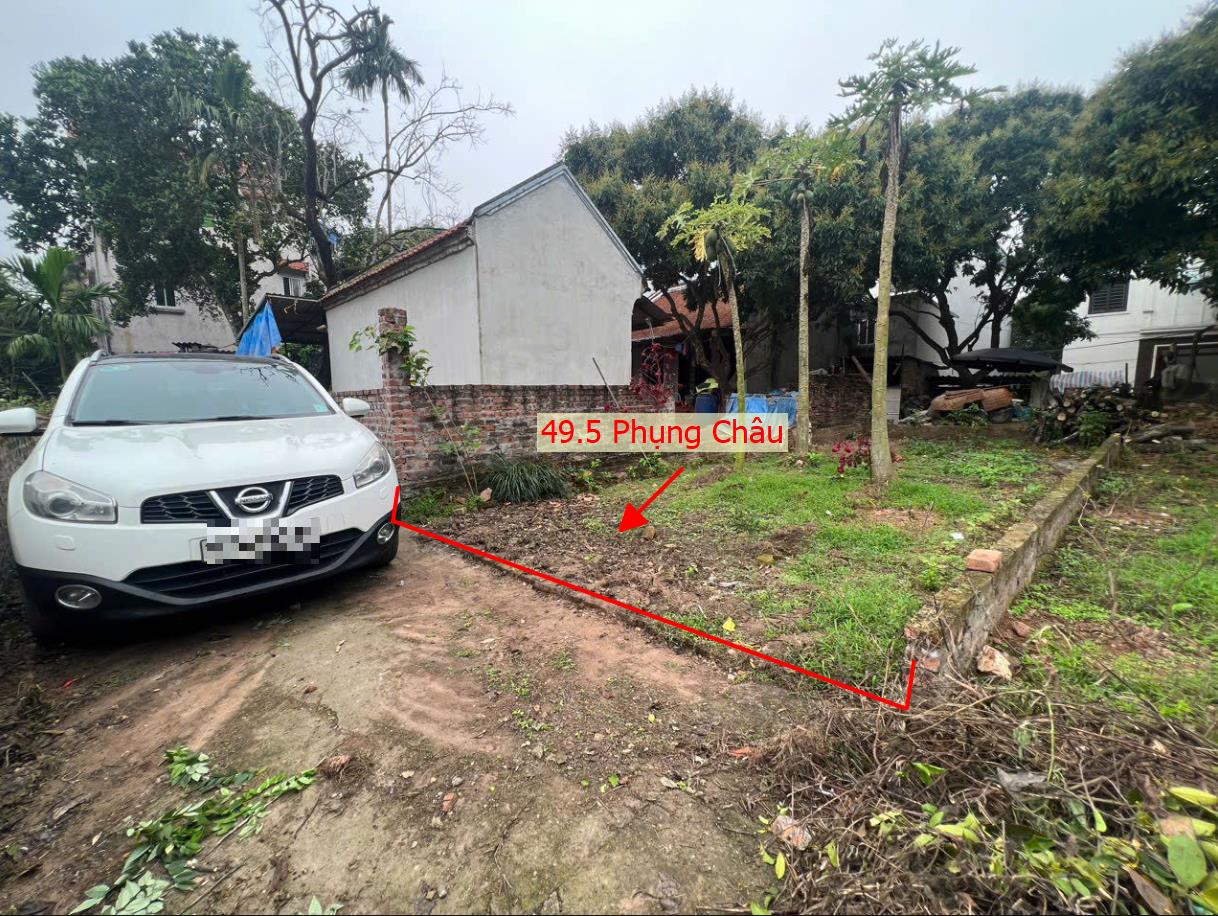 Hình ảnh Bán Đất Phụng Châu Sát Trục Chính Kinh Doanh Liên Huyện Ngay Trung Tâm Xã Phụng Châu