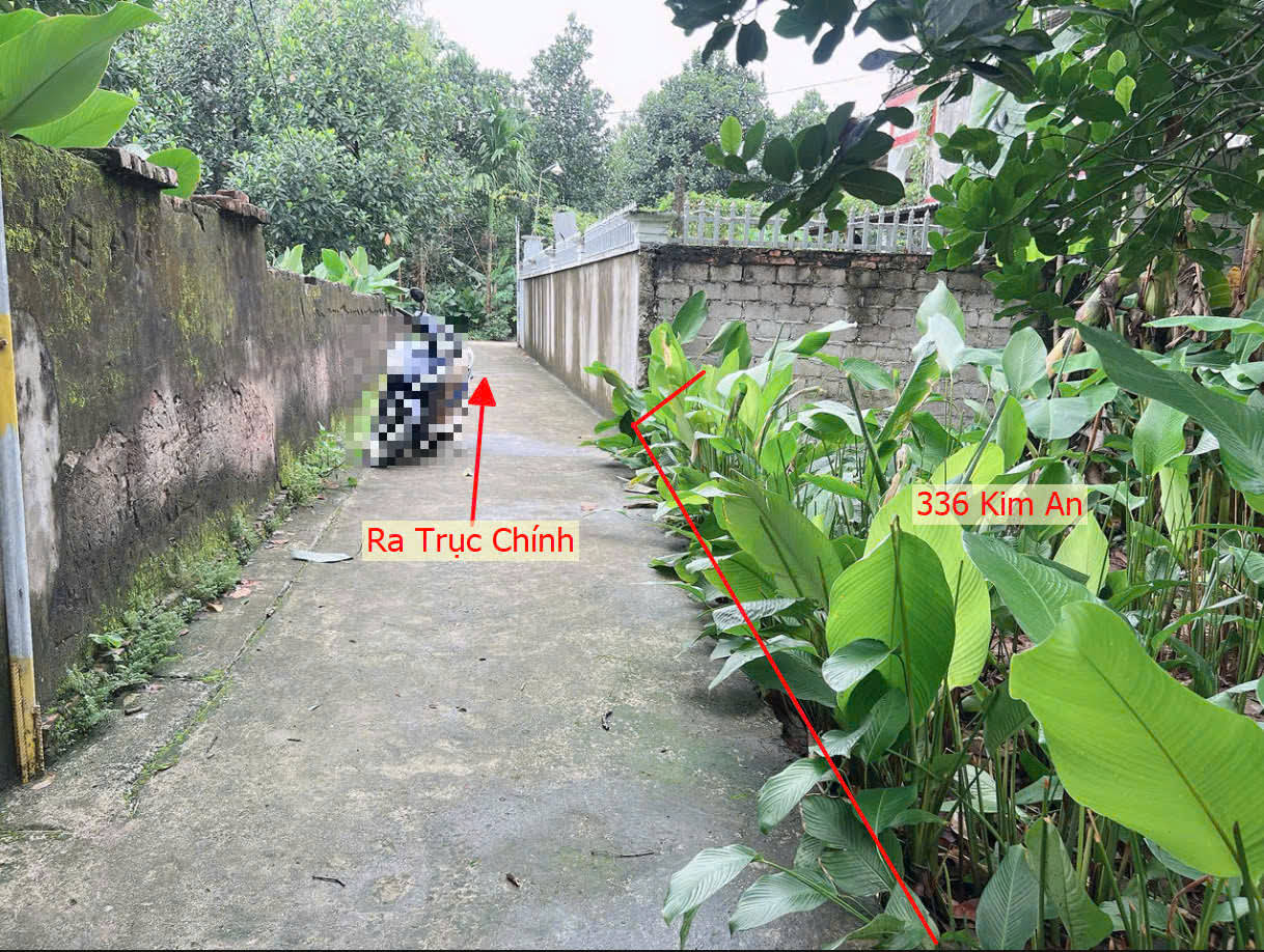 Hình ảnh Bán Đất Kim An Sát Trục Kinh Doanh Liên Xã Ngay Gần Trung Tâm Xã Kim An