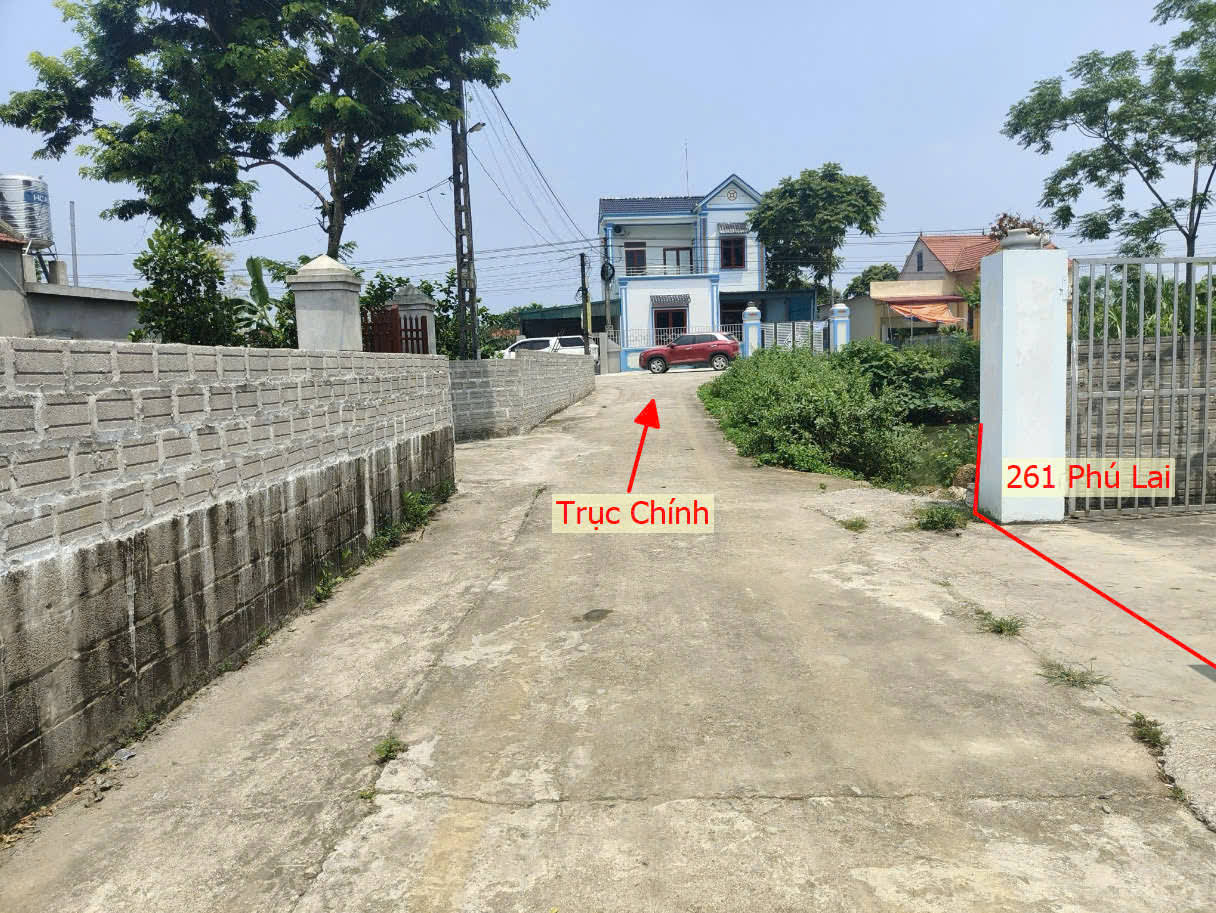 Hình ảnh Bán Đất Phú Lai Ô Tô Vào Tận Đất Ngay Sát Trục Chính Kinh Doanh Giá Chỉ Vài Trăm Triệu