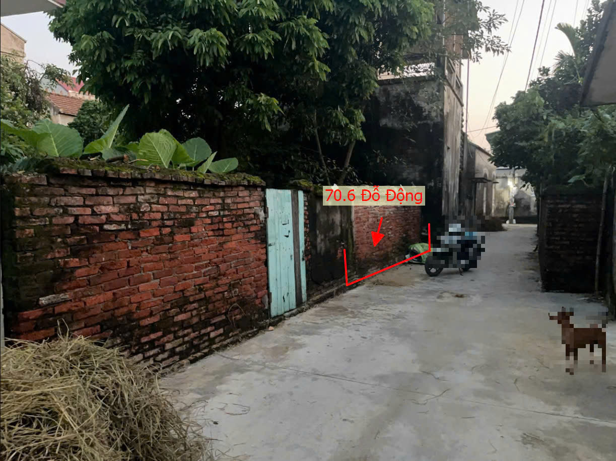 Hình ảnh Bán Đất Đỗ Động Gần Trục Chính Liên Xã Giáp Thị Trấn Kim Bài | Đất Phân Lô Đỗ Động Thanh Oai