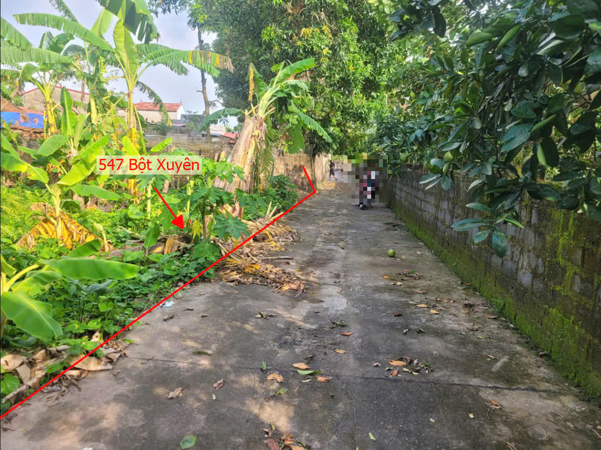 Hình ảnh Bán Đất Bột Xuyên Sát Trục Chính Kinh Doanh Ngay Gần Trung Tâm Xã Bột Xuyên