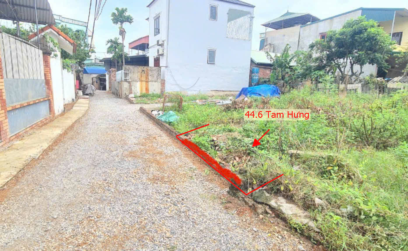 Hình ảnh Bán Đất Tam Hưng Ô Tô Vào Tận Đất Gần Trục Kinh Doanh Ngay Trung Tâm Xã Tam Hưng