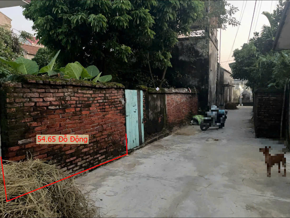 Hình ảnh Đất Phân Lô Đỗ Động Sát Trục Kinh Doanh Giáp Thị Trấn Kim Bài Giá Chỉ Hơn Tỷ