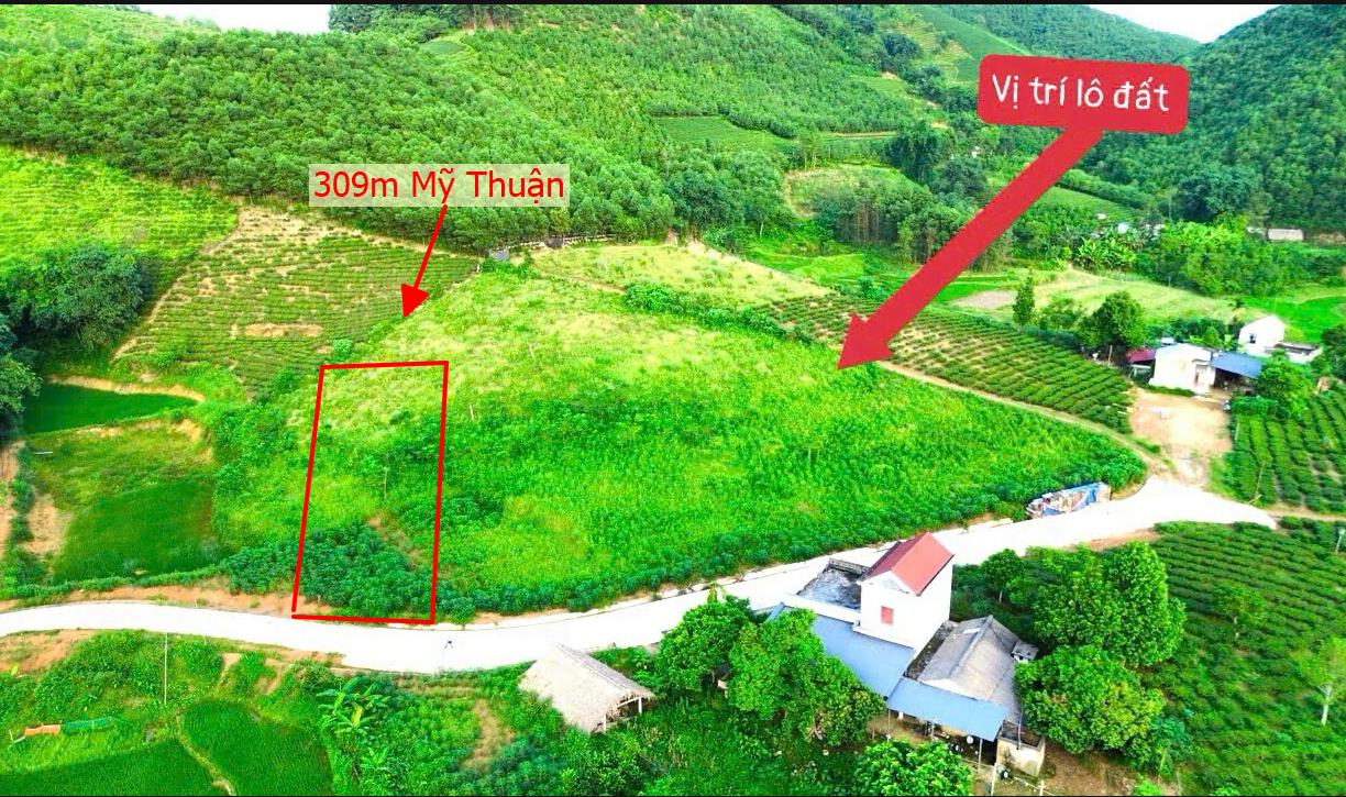 Hình ảnh Bán Lô Đất 309M Tại Mỹ Thuận Tân Sơn Bám Đường Bê Tông Ô Tô Vào Tận Đất View Thoáng Mát Giá Đầu Tư