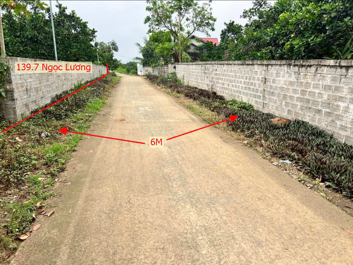 Hình ảnh Bán Đất Ngọc Lương Ô Tô Vào Tận Đất Sát Trục Chính Kinh Doanh Gần QL21B Giá Chưa Đến Tỷ