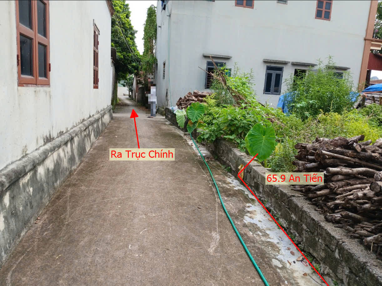 Hình ảnh Bán Đất An Tiến Sát Trục Chính Kinh Doanh Ngay Trung Tâm Xã An Tiến Giá Chưa Đến Tỷ
