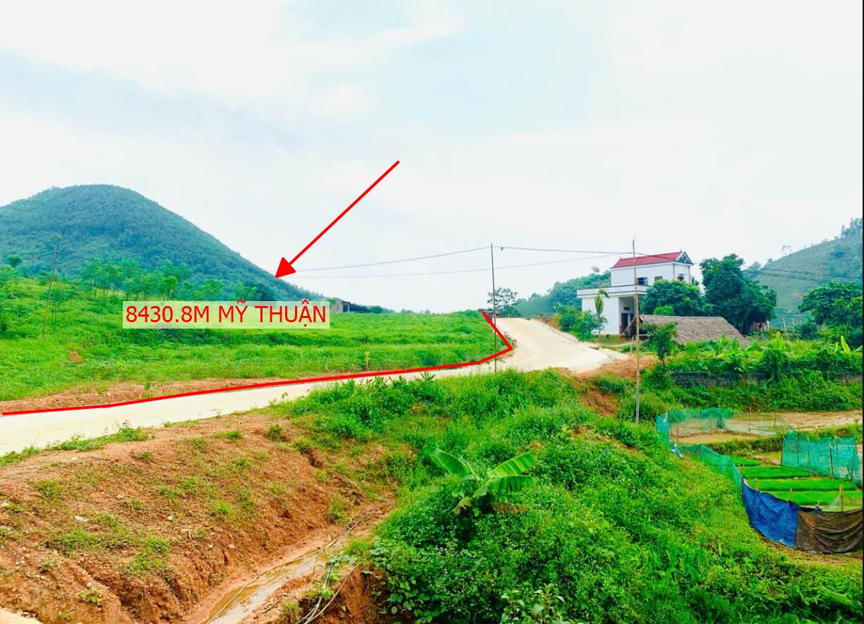 Hình ảnh Bán Lô Đất Hơn 8000m Tại Mỹ Thuận Tân Sơn Giá Chỉ Vài Trăm