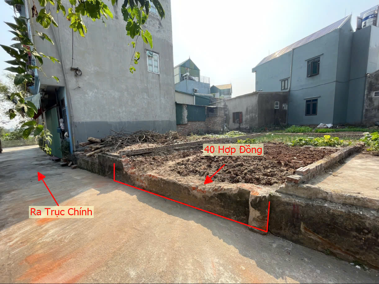 Hình ảnh Bán Đất Hợp Đồng Sát Mặt Đường Kinh Doanh TL419 Ngay Trung Tâm Xã Hợp Đồng Giá Nhỉnh Tỷ