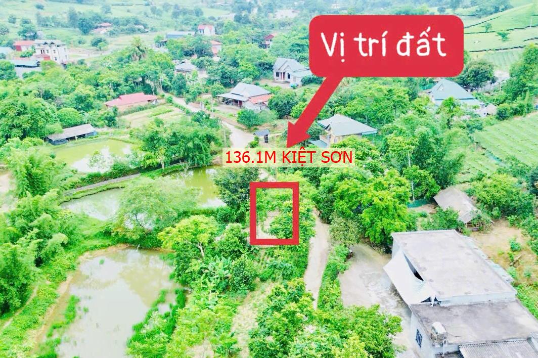 Hình ảnh Bán Lô Đất 136.1m Tại Kiệt Sơn Tân Sơn Bám Đường Bê Tông Ô Tô Vào Tận Đất Dân Cư Đông Đúc Giá ĐẦu Tư