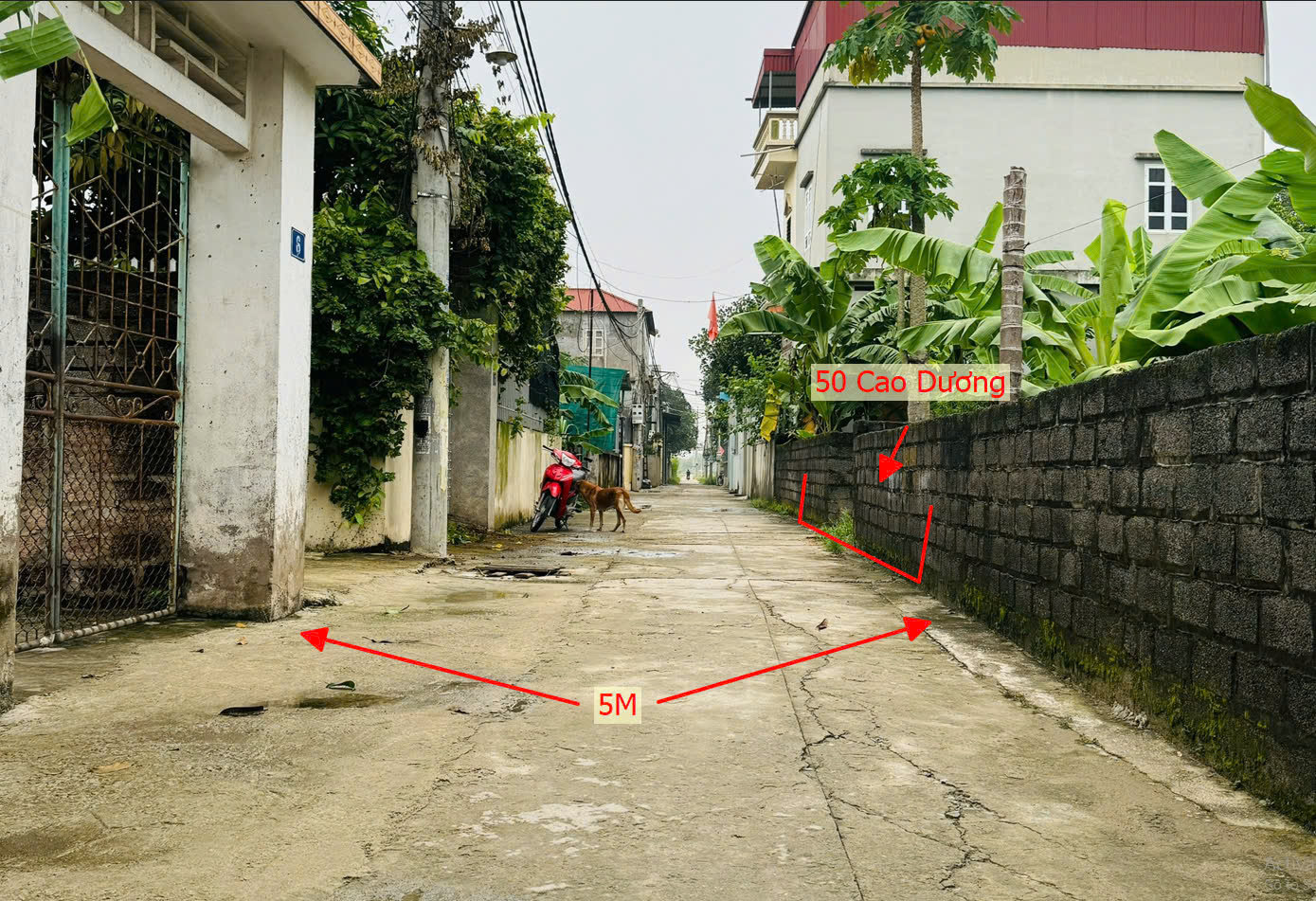 Hình ảnh Bán Đất Cao Dương Ô Tô Vào Tận Đất Sát Trục Kinh Doanh Ngay Trung Tâm Xã Cao Dương Giá Chỉ Hơn Tỷ