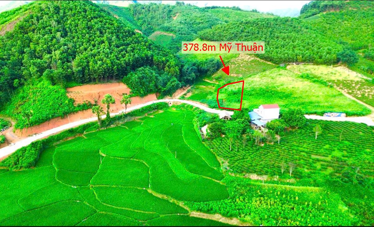 Hình ảnh Bán Lô Đất 378.8m Tại Mỹ Thuận Tân Sơn Bám Đường Liên Huyện Ô Tô Tránh Nhau View Thoáng Mát Khu Dân Cư Thân Thiện An Ninh Tốt Giá Đầu Tư