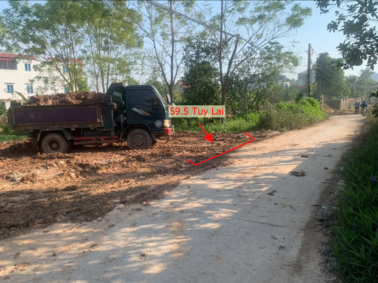 Hình ảnh Bán Đất Tuy Lai Sát Trục Kinh Doanh Ngay Trung tâm Xã Tuy Lai | Đất Phân Lô Mỹ Đức