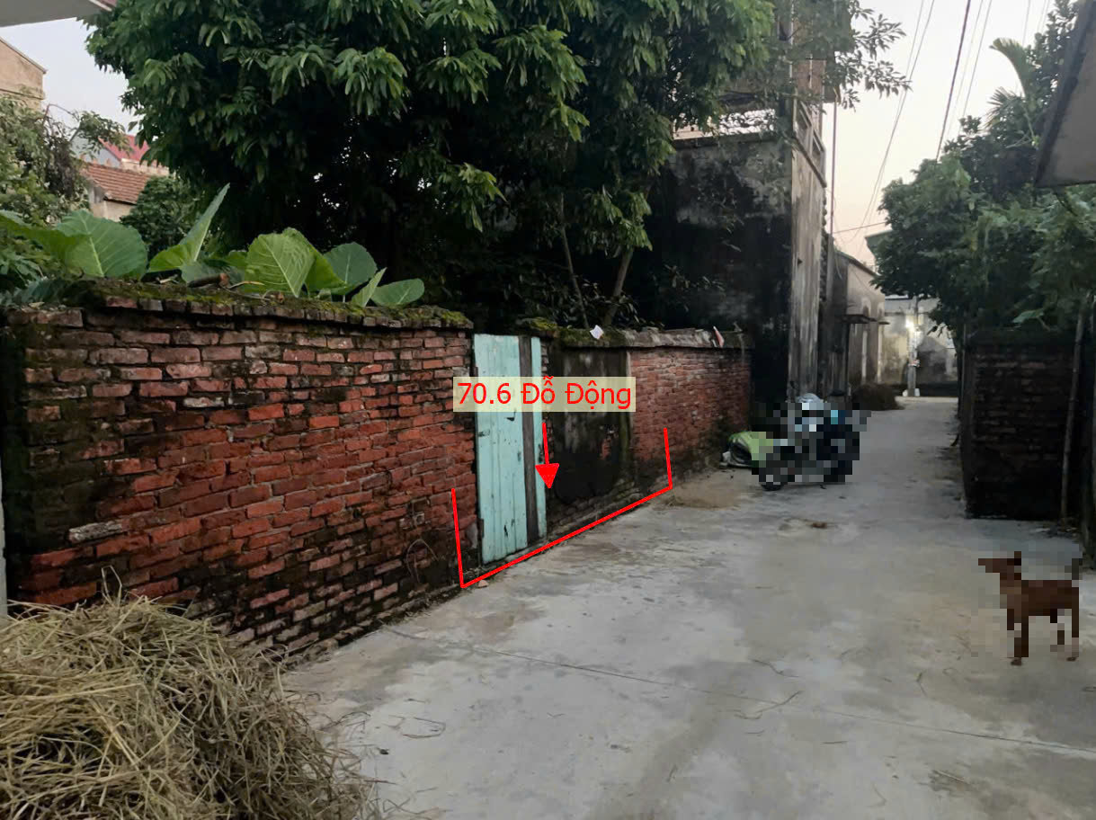Hình ảnh Bán Đất Đỗ Động Sát Trục Chính Kinh Doanh Liên Xã Ngay Gần Trung Tâm Xã Đỗ Động