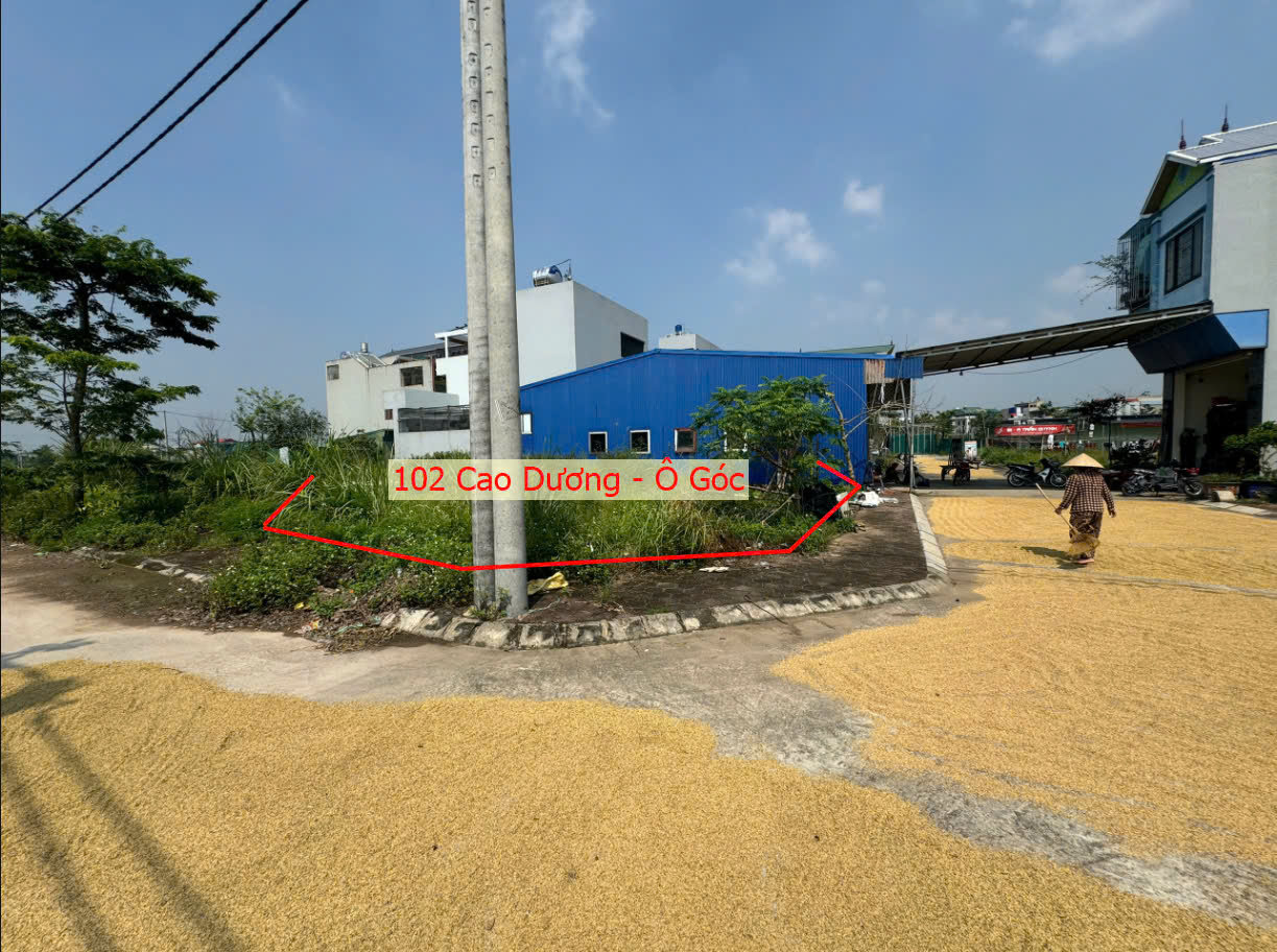 Hình ảnh Bán Lô Góc 2 Mặt Tiền Thuộc Khu Đấu Giá Rặng Sắn Cao Dương Ngay Trung Tâm Xã Cao Dương