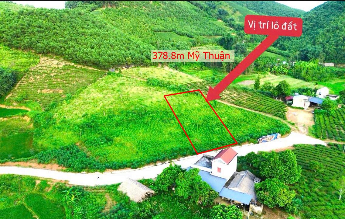 Hình ảnh Bán Lô Đất 378.8m Tại Mỹ Thuận Tân Sơn Bám Đường Bê Tông Ô Tô Vào Tận Đất View Thoáng Mát Giá Đầu Tư